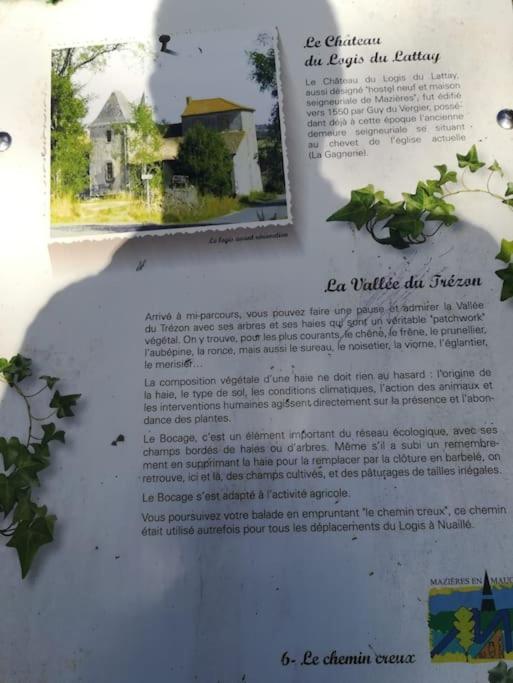 Le Logis Cholet 49300 Lieu Exceptionnel En Famille Ou Amis Villa Mazieres-en-Mauges Luaran gambar
