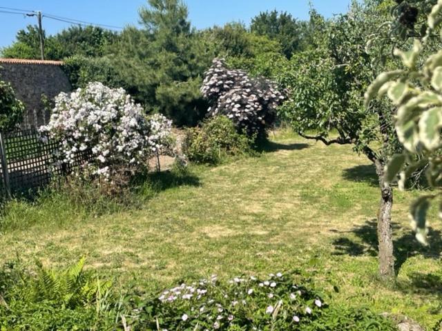 Le Logis Cholet 49300 Lieu Exceptionnel En Famille Ou Amis Villa Mazieres-en-Mauges Luaran gambar